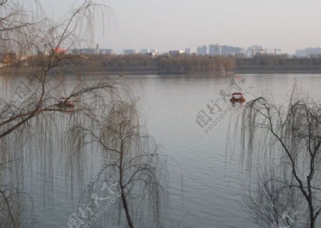 冬日洛河景色图片