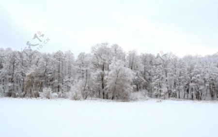 冬季冰雪风光图片