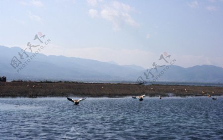 丽江湿地图片