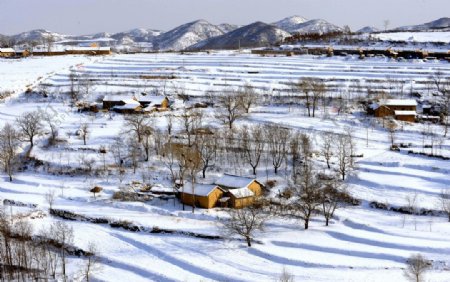 冬天村庄图片