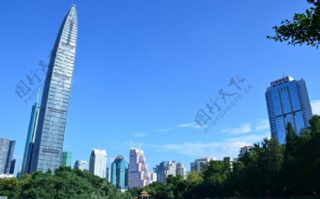 荔枝公园拍深圳京基100大厦新闻大厦图片