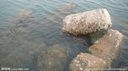 海中石头图片
