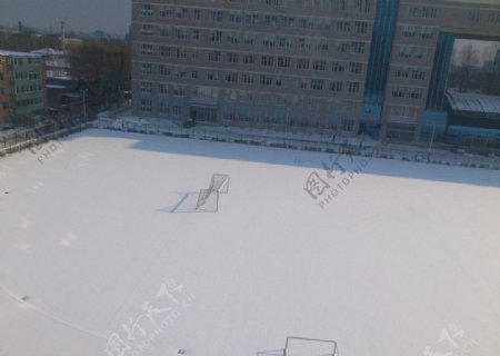 冬季的雪图片