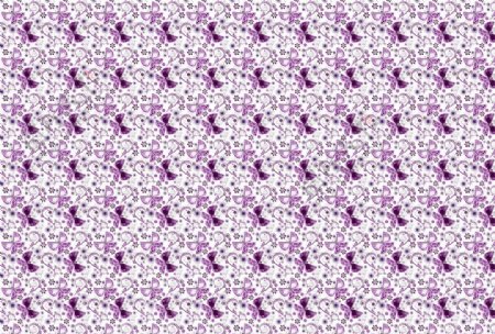 蝴蝶底纹紫图片
