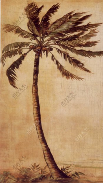 手绘画装饰画椰树图片
