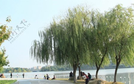 夏阳湖图片