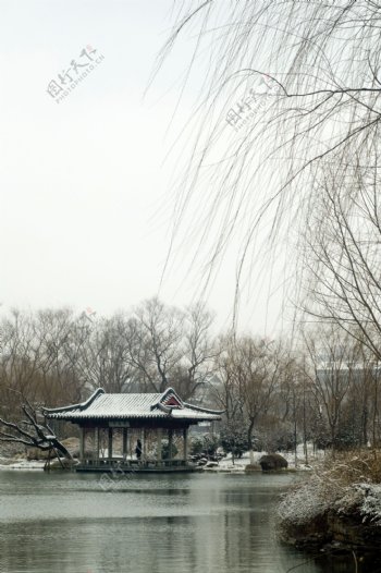 明湖冬景2图片