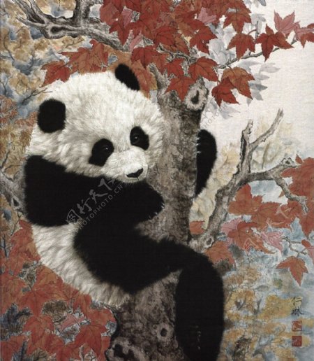 红叶熊猫图片
