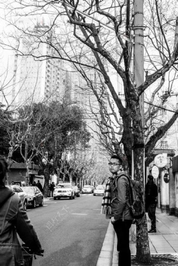 上海旧马路悟恫树图片