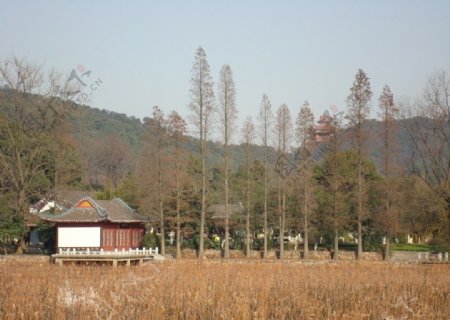 东湖磨山图片