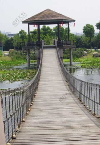 荷塘月色公园吊桥图片