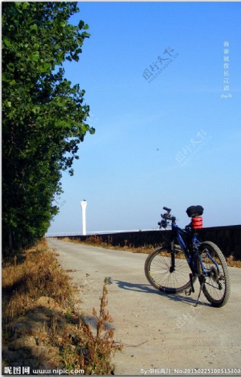 单车灯塔图片