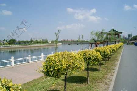 伊通河风景图片