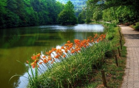 公园湖景图片