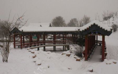 雪景图片