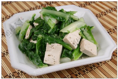 杭白菜老豆腐贵竹园图片