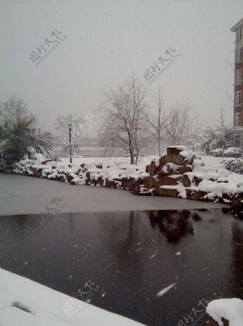 雪满冬天图片
