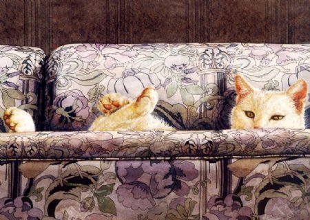 沙发小猫图片
