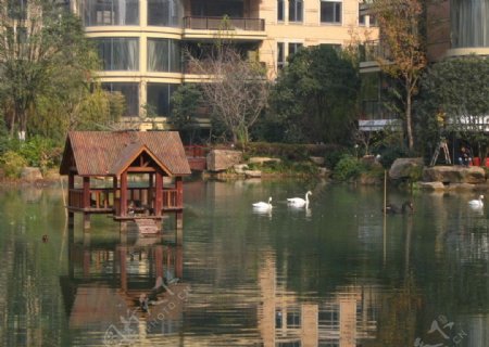 湖畔建筑图片