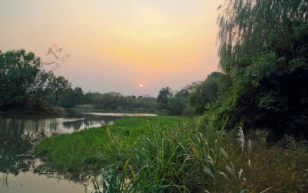 西溪湿地夕阳图片