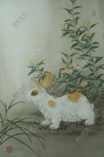 兔年画兔图片