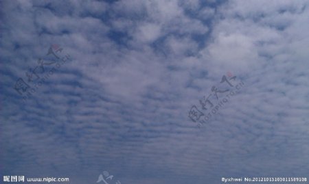 羽状云图片