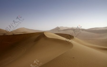 沙漠的曲线图片