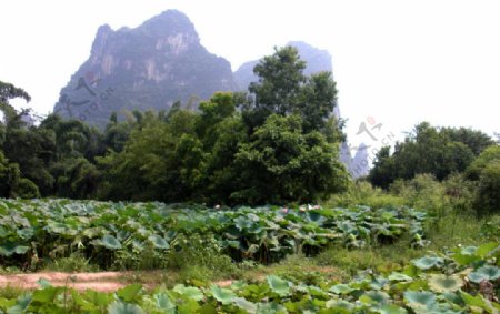 风景照图片