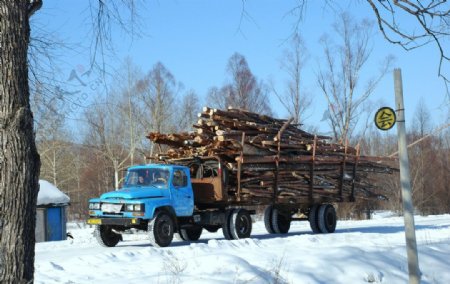 运输木材的汽车图片