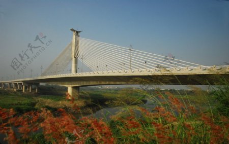 北湾妈祖大桥图片