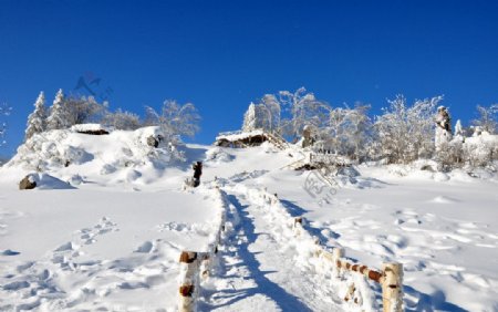 小山雪景图片