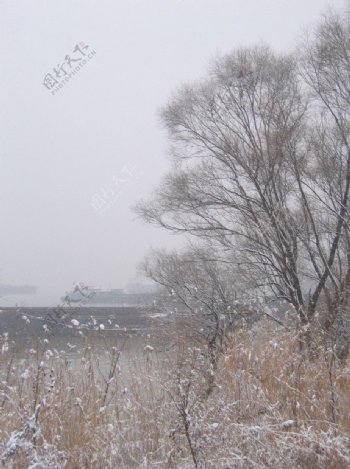 雪景图片