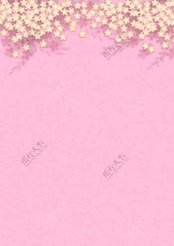 粉色背景花朵图片