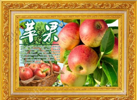 水果风景之苹果图片