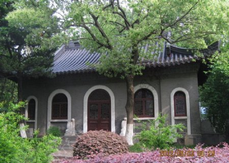 南京大学建筑图片