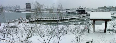曲江新雪图片