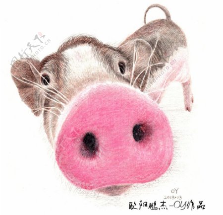 圆珠笔绘画猪图片