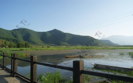 泸沽湖的草海图片