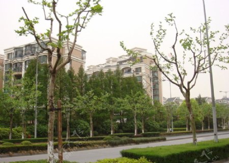 上海小区风貌图片