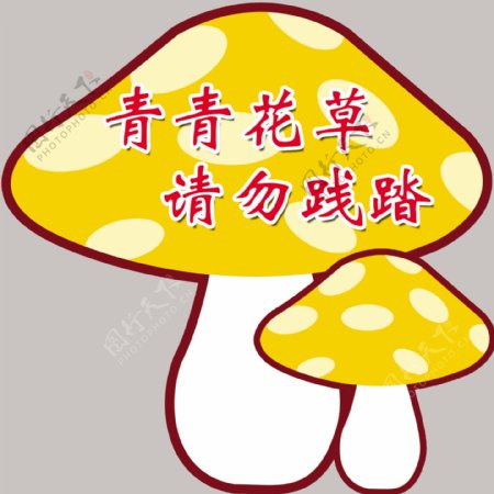 爱护花草图片