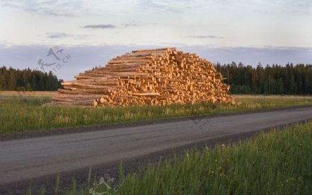 一堆木材图片