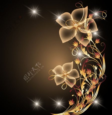 金色花卉花纹图片