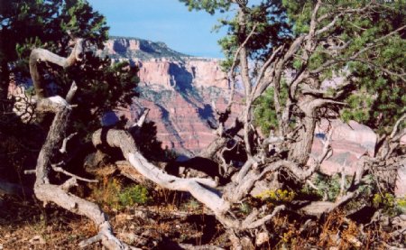 美国峡谷风光图片