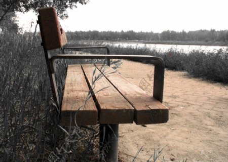 河边休闲椅图片