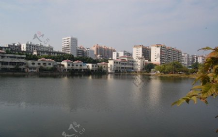 潘塘公园图片