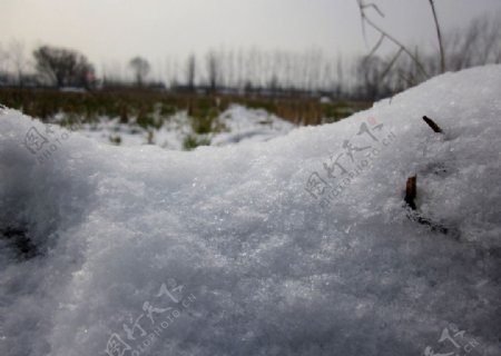 雪地景观图片