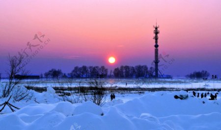 冬日的落日图片