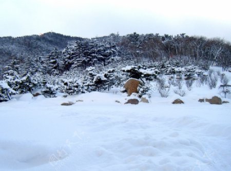 雪景图片