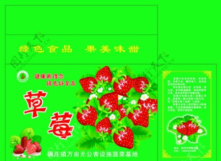 草莓包装01图片
