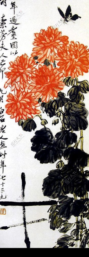 传世名画蝴蝶菊花图片